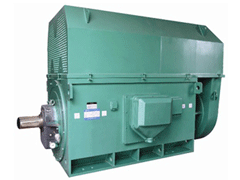 YJTGKK5002-4YKK系列高压电机
